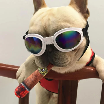 1pc Simulation Cigar Chew Toy for Pets