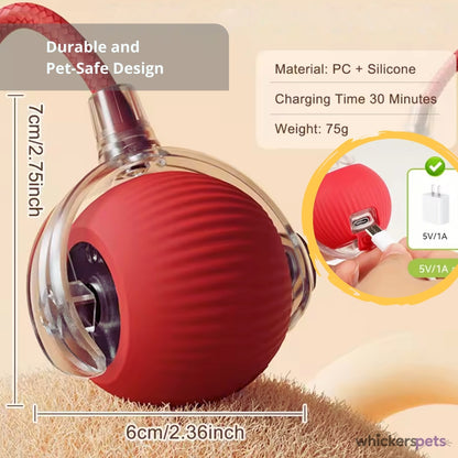 WhiskerBall™: Cat Interactive Toy