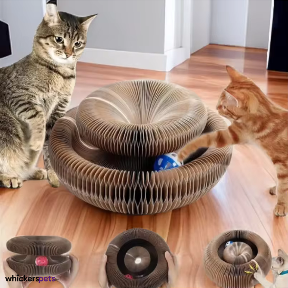 WhiskerSpace™ Foldable Cardboard Cat Scratcher Bed