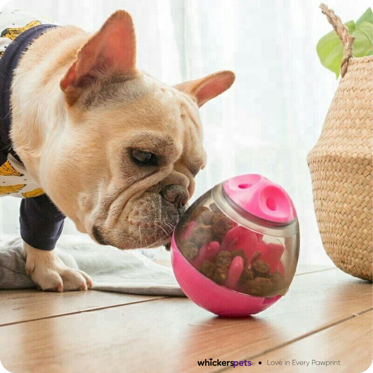 Interactive Pet Treat Dispensing Toy – Egg-Shaped Slow Feeder for Dogs & Cats