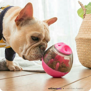 Interactive Pet Treat Dispensing Toy – Egg-Shaped Slow Feeder for Dogs & Cats