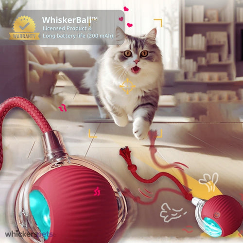 WhiskerBall™: Cat Interactive Toy