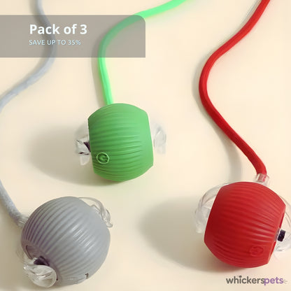 WhiskerBall™: Cat Interactive Toy
