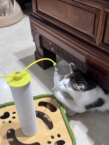 Cat Scratching Post Toy – Sisal Pole with Feather Teaser & Interactive Ball Track